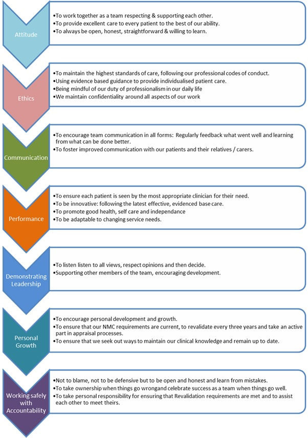 Nursing Values